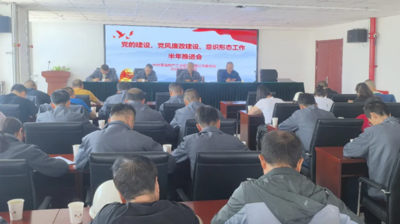 工投公司黨委召開黨的建設、黨風廉政建設、意識形態(tài)工作半年推進會
